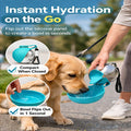 2026 New 10Oz Stainless Steel Dog Water Bottle with Silicone Foldable Bowl